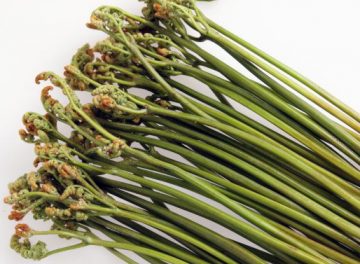 %e3%82%8f%e3%82%89%e3%81%b3