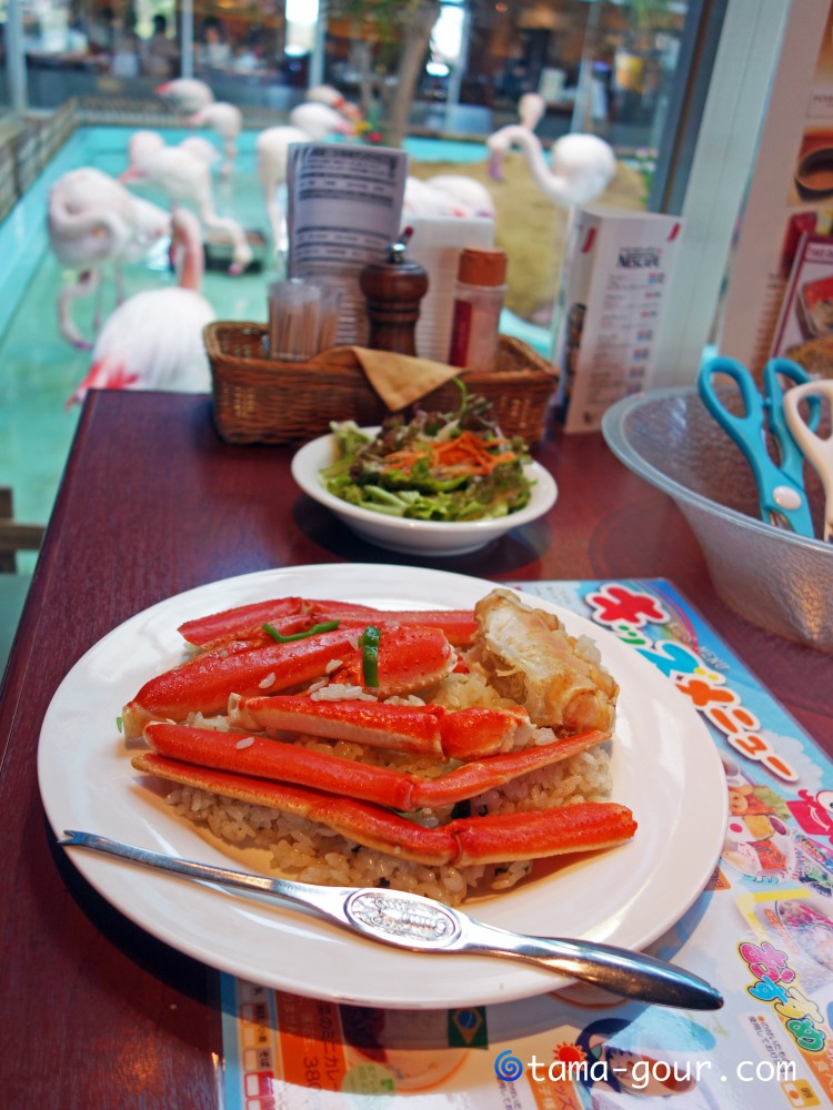 シーフードレストラン『メヒコ』@茨城県つくば市〜フラミンゴ!?を見ながら伝統のカニピラフ